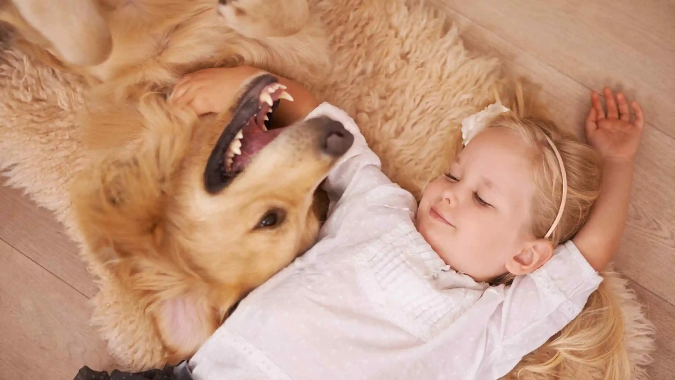 Doggos and kiddos combo