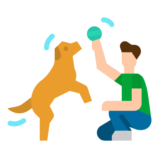 Task Training (Service Dogs) For Train Your Dog or Dog Therapy